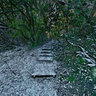 Small Bridge In King George Field Barnet London England
