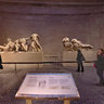 Parthenon Marbles 05 Greek Collection London England