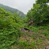 Trail View at Kalypso Gorge Kissavos Greece