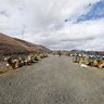 Timanfaya Park Camel Ride Lanzarote Canary Islands