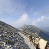 Donkey On Trail Mount Olympus Greece