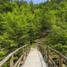 Mount Olympus Enipeas Wooden Bridge 7 Greece