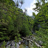 Mount Olympus Enipeas Wooden Bridge 5 Greece