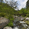Mount Olympus Enipeas Gorge Wooden Bridge 2 Greece