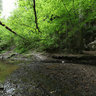 Rudice underground stream entrance - Moravian Karst