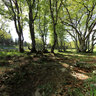 Creux Du Van 1