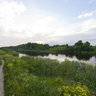 Summer evening at the Novoladozhsky channel