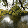 Parc Des Buttes Chaumont, Paris