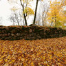 Golden autumn on the ruins of Krimulda Castle, Latvia