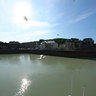 Daily fishmarket at Saint Valery en Caux, Normandy, France