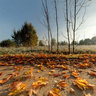 Autumn feeling, Latvia