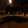 Árvore de Natal do Ibirapuera 2008