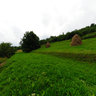 Bukovets