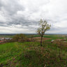 Mukachevo