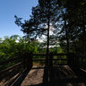 Mississippi Palisades State Park