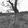 Fede in the nature reserve of reinach
