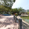Tuen Mun Park: The Artificial Lake