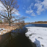 Wood lake