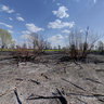 national park Big fire