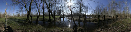 Marais Poitevin Tetard