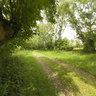 Marais Poitevin, chemin