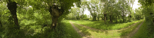 Marais Poitevin, chemin