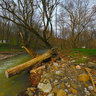 Angara river