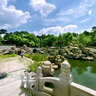 the Lion Forest (Shizilin) in the Literary Garden (Wenyuan)