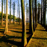wuhan East Lake scenery