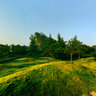 Wuhan JiangTan Garden scenery 1