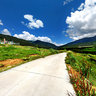 Lulang Forest Sea 2  Nyingchi Tibet