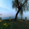 Wuhan East Lake scenery 1