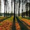 2010 Winter solstice 1 in Liberation Park  wuhan