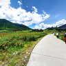 Lulang Forest Sea 3  Nyingchi Tibet