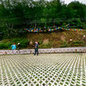 Basong Co（Basong Lake）Nyingchi Tibet（4）