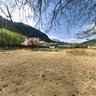 The world's largest mulberry 2 in Nyingchi Tibet
