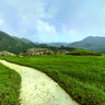 The Ancient Tombs on the Donggou jian UNISCO