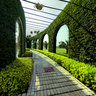 the green wall in Hong Cheng Park Guangzhou
