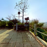 Deer Turning Head Park ( Luhuitou Park ) sanya
