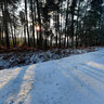 Chemin forestier enneigé