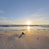 1st springlights March 2011: Sunrise at sandy beach